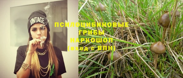 сатива Вязники