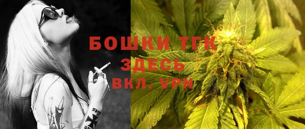 МДПВ Вяземский