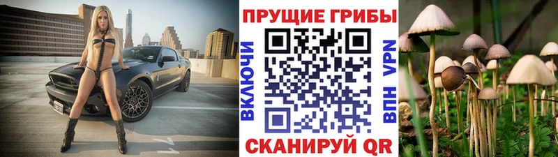 Галлюциногенные грибы ЛСД  Купить закладки  Краснообск 